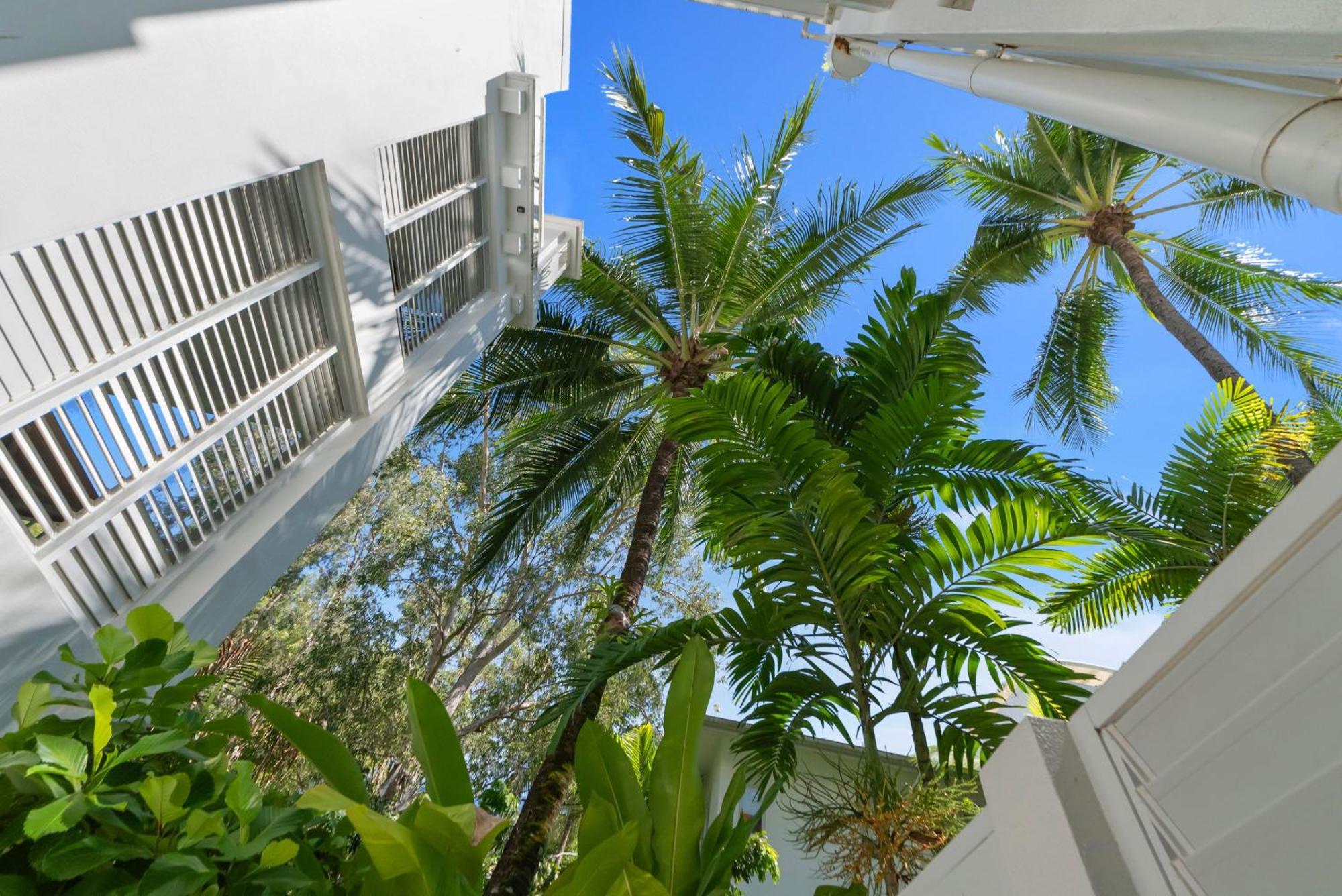 Elysium Private Apartments At Beach Club & Spa Palm Cove Exteriör bild